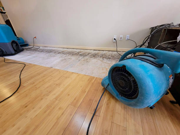 Professional Basement Flood Cleanup technician working in Pelion, SC
